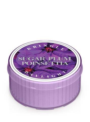 Kringle Candle Sugar Plum Plum Poinsettia illatgyertya (35 g)